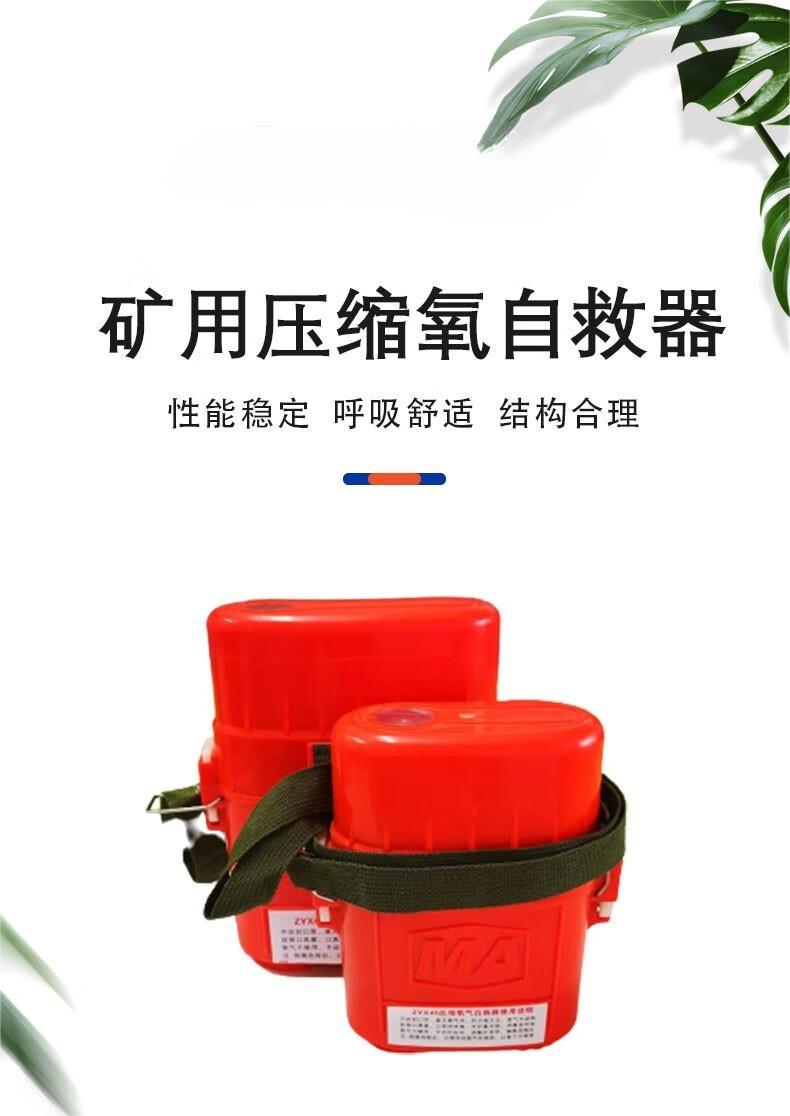 恒泰ZYX30隔絕式壓縮氧氣呼吸器1